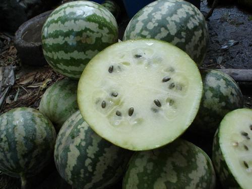 东风密瓜怎么吃,解锁夏日清新美味