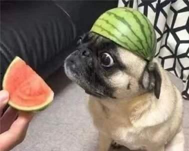 盘点各类吃瓜,各式吃瓜美食大集合