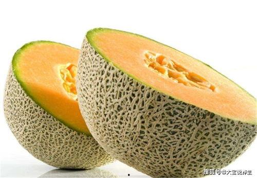 哈密瓜番茄可以一起吃吗,营养搭配的完美组合