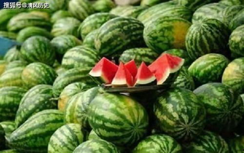 吃瓜一直吃瓜,从吃瓜到品瓜的趣味之旅