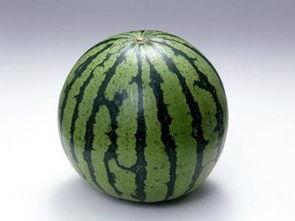 吃瓜吃花籽会胖吗,真的会让人发胖吗？揭秘真相