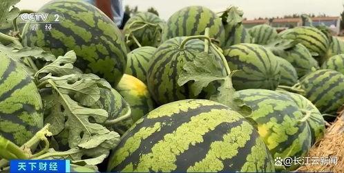 山东师范地环吃瓜,校园“吃瓜”事件背后的温馨瞬间