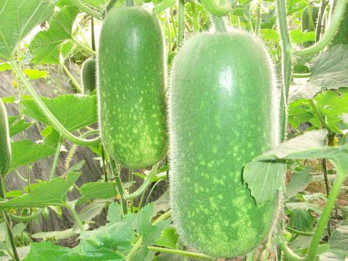 629吃瓜01,一场网络热议背后的真相