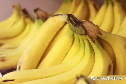 华农经管吃瓜,吃瓜群众眼中的风云变幻